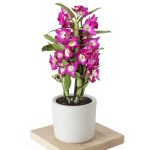 ÇİFT DAL BAMBU ORKİDE LİLA(seramikli)