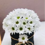 PAPATYA ARANJMANI (beyaz)