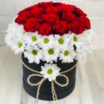 15 KIRMIZI GÜL VE PAPATYA ARANJMANI