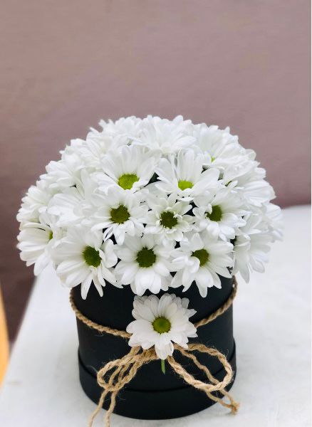 papatya-aranjmanı PAPATYA ARANJMANI (beyaz) - Görsel 1