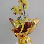 ÇİFT DAL ORKİDE SARI